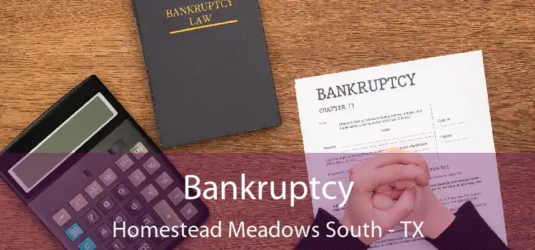 Bankruptcy Homestead Meadows South - TX