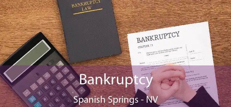 Bankruptcy Spanish Springs - NV