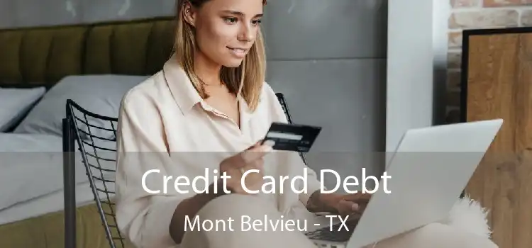 Credit Card Debt Mont Belvieu - TX