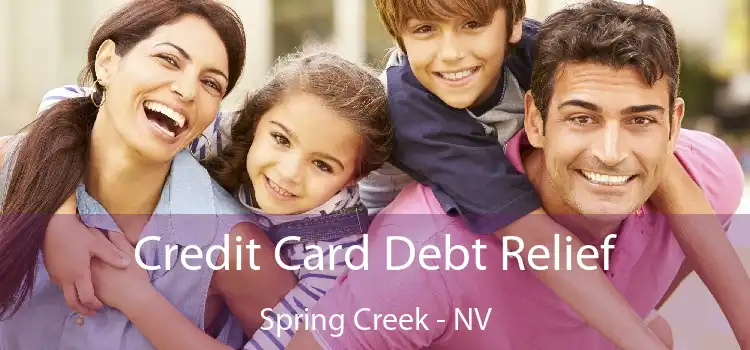 Credit Card Debt Relief Spring Creek - NV