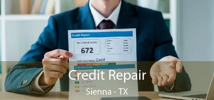 Credit Repair Sienna - TX